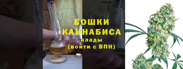 дживик Касимов