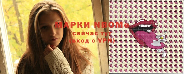шишки Киренск
