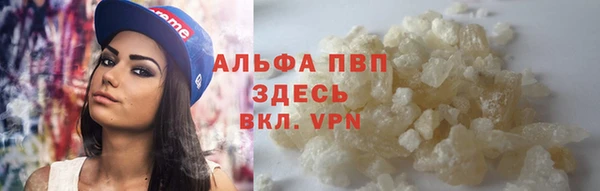 дживик Касимов