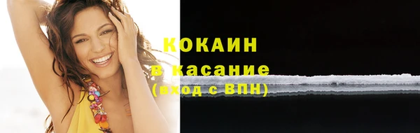 дживик Касимов