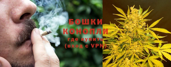 ALPHA PVP Карталы