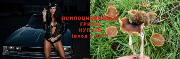 шишки Киренск