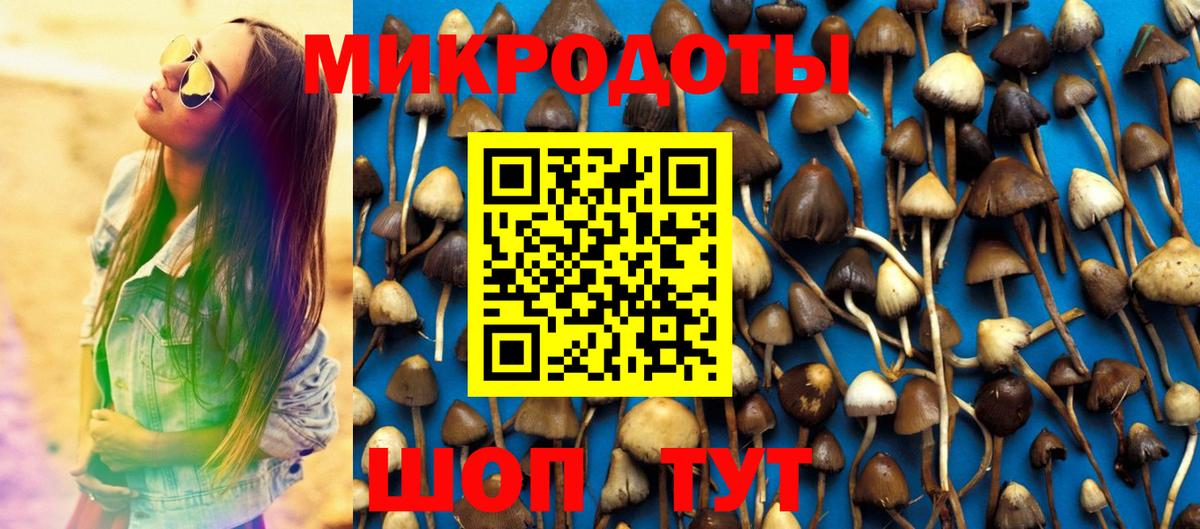 Галлюциногенные грибы Psilocybe Коркино